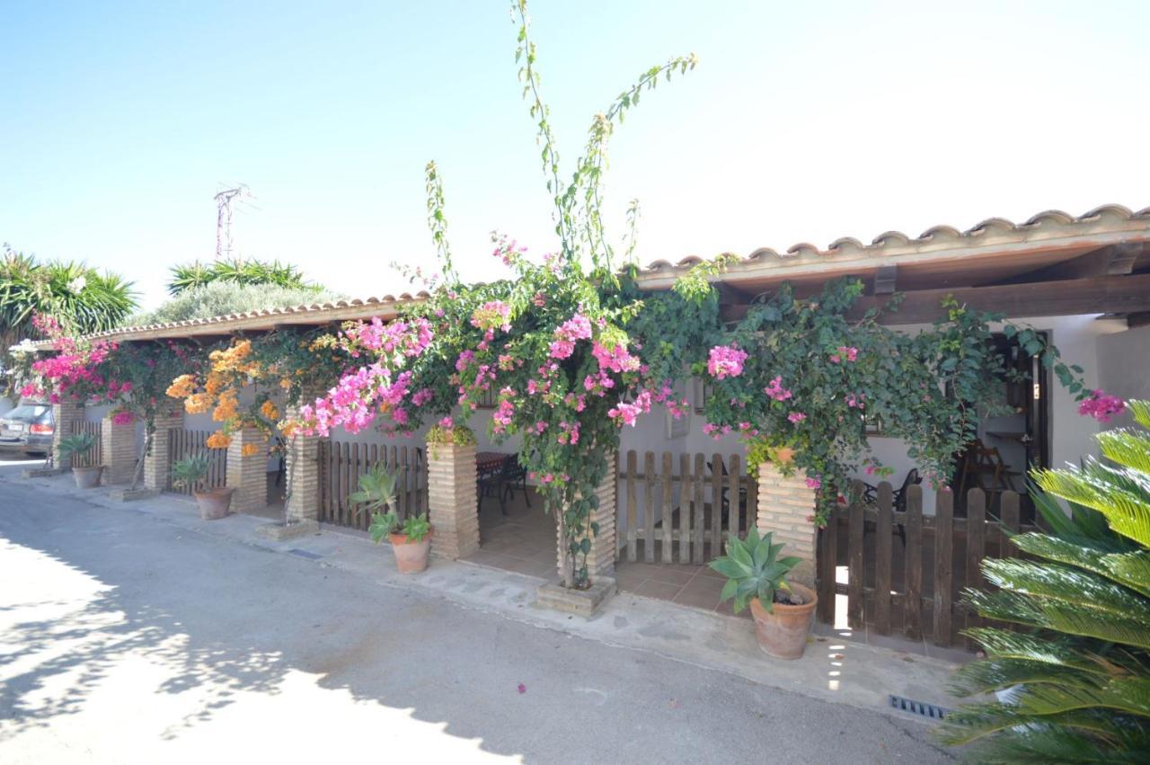 Estudios Con Piscina Compartida En Conil. カディス エクステリア 写真