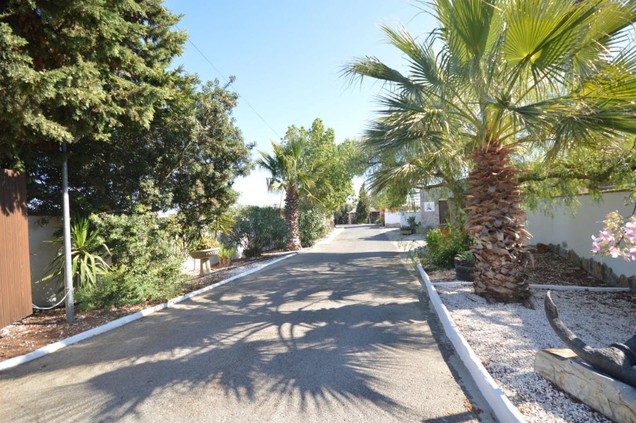 Estudios Con Piscina Compartida En Conil. カディス エクステリア 写真