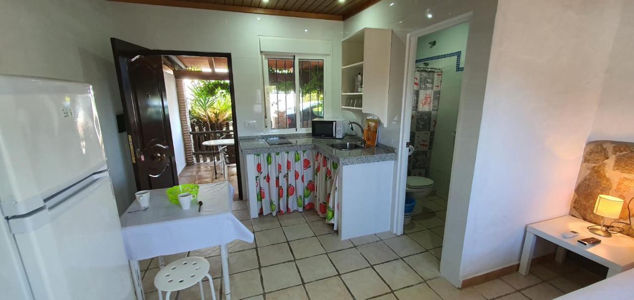 Estudios Con Piscina Compartida En Conil. カディス エクステリア 写真