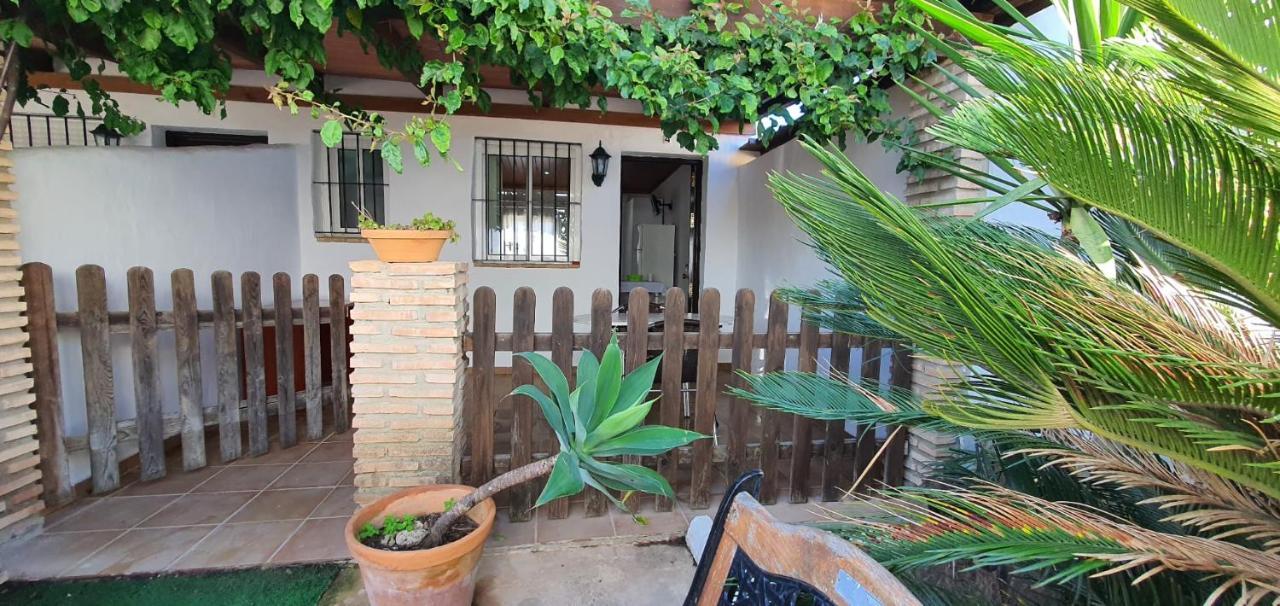 Estudios Con Piscina Compartida En Conil. カディス エクステリア 写真