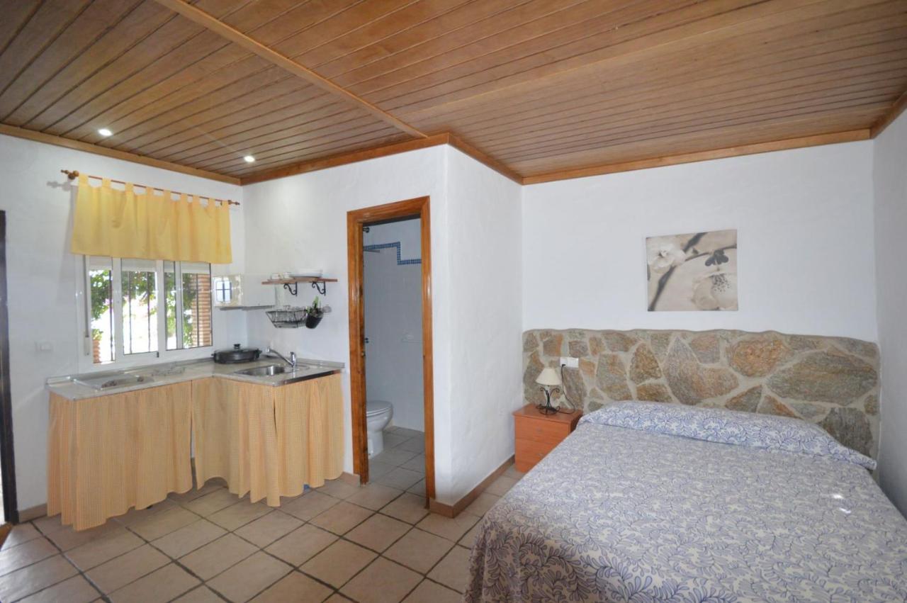 Estudios Con Piscina Compartida En Conil. カディス エクステリア 写真