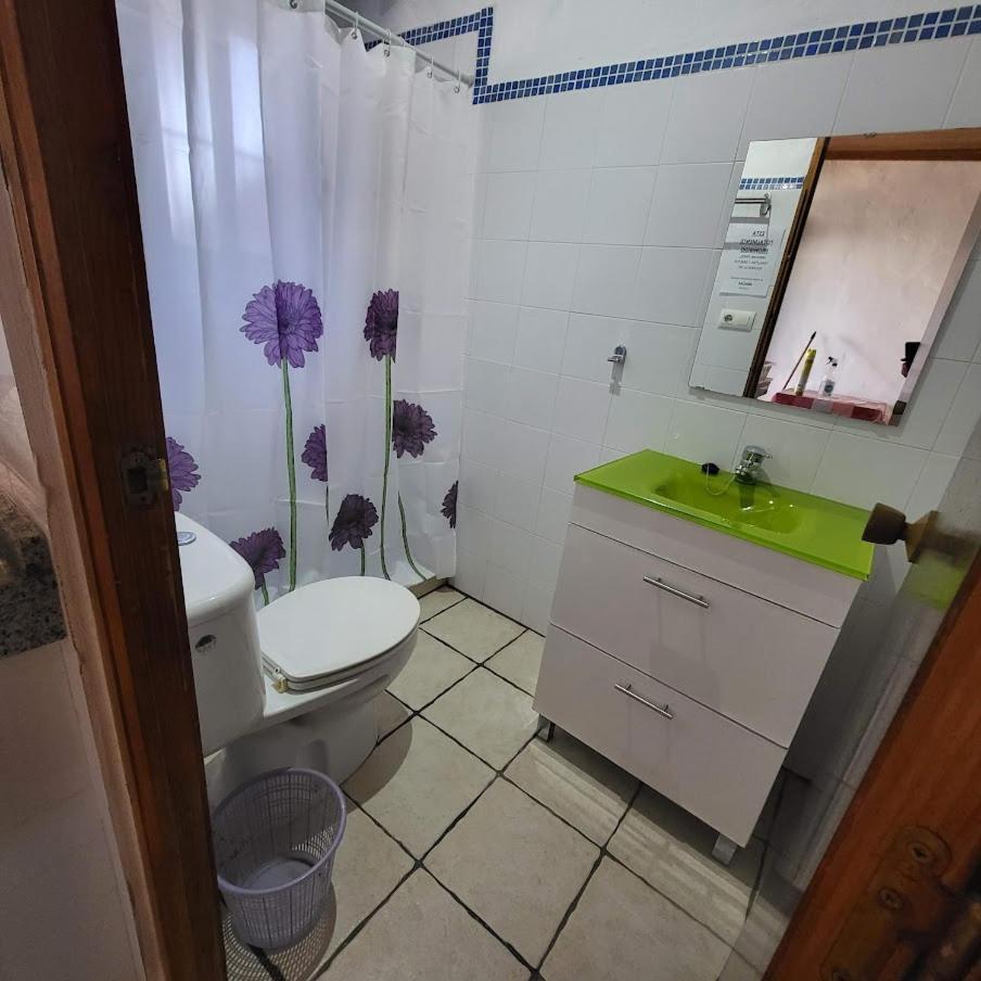 Estudios Con Piscina Compartida En Conil. カディス エクステリア 写真