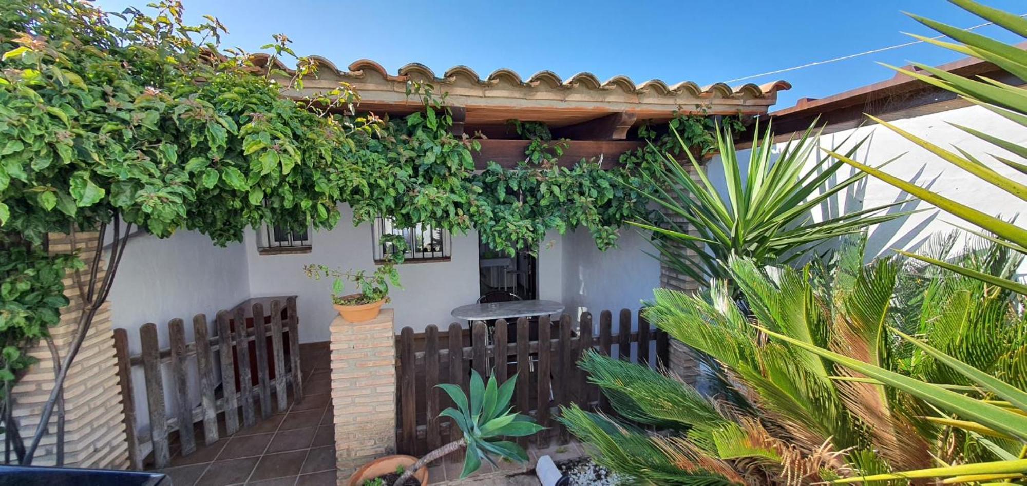 Estudios Con Piscina Compartida En Conil. カディス エクステリア 写真